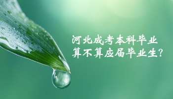 成考本科畢業(yè)算不算應屆畢業(yè)生?