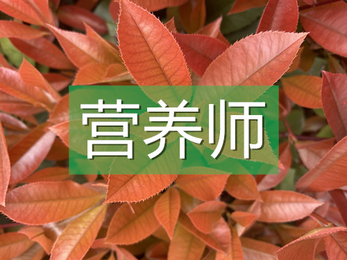 營養(yǎng)師