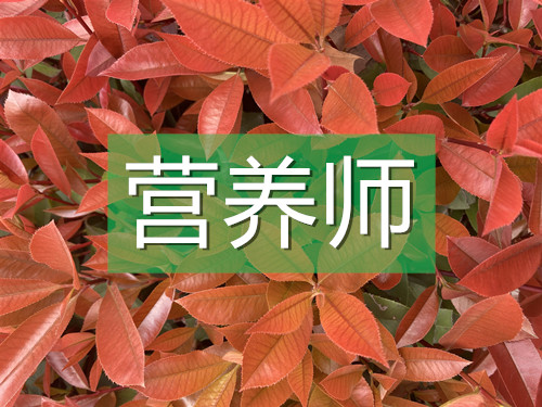 營養(yǎng)師